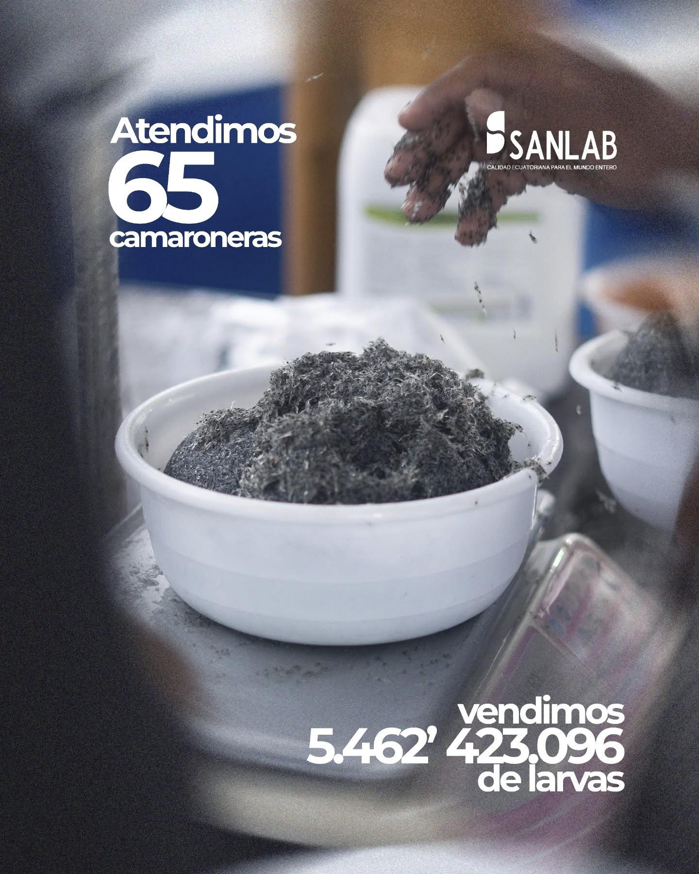 El rol de las microalgas en la estandarización del peso