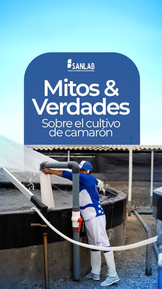 Publicación SANLAB 4