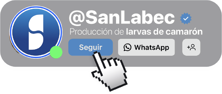 Seguir a SanLab en WhatsApp